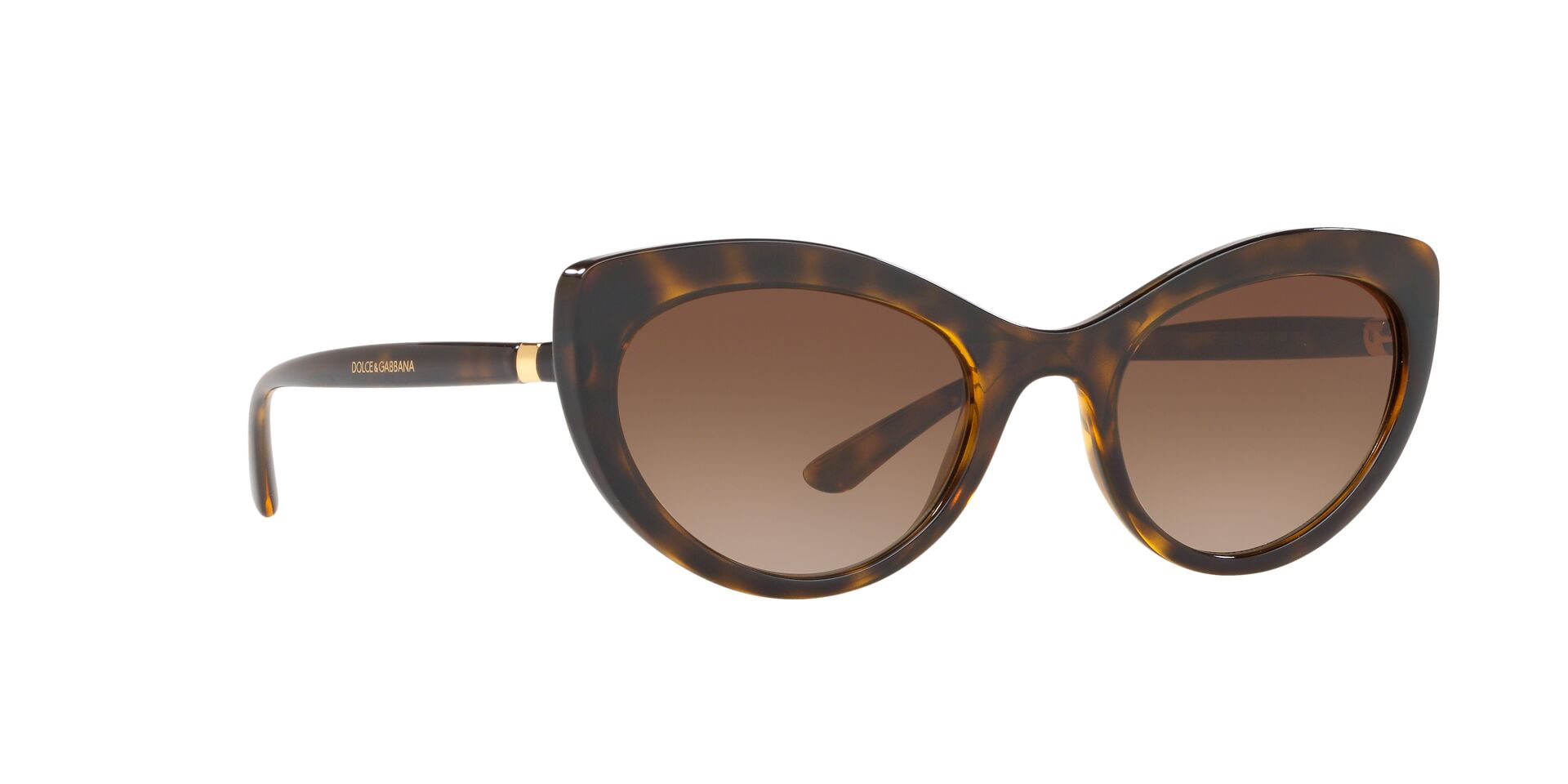 DOLCE & GABBANA 6124 502/13