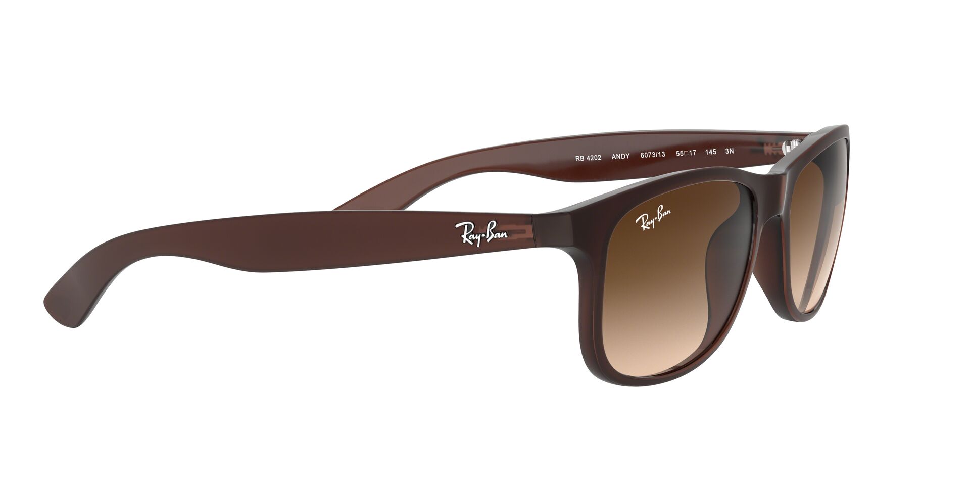 RAY-BAN 4202 607313 - Image 2