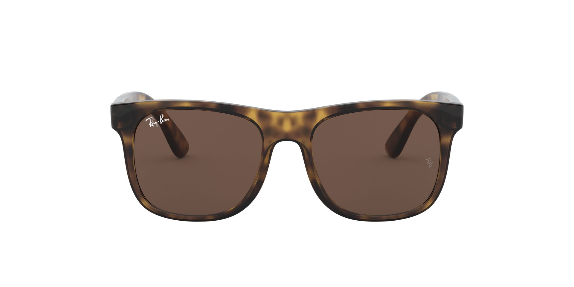 RAY-BAN 9069S 152/73 - Image 12