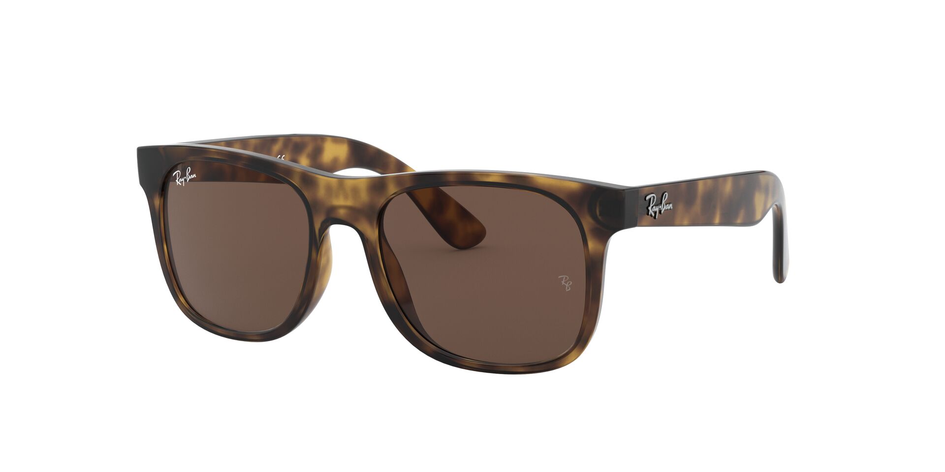 RAY-BAN 9069S 152/73 - Image 11
